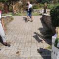 20-ostia-ingresso_giardino_e_felci-600x450
